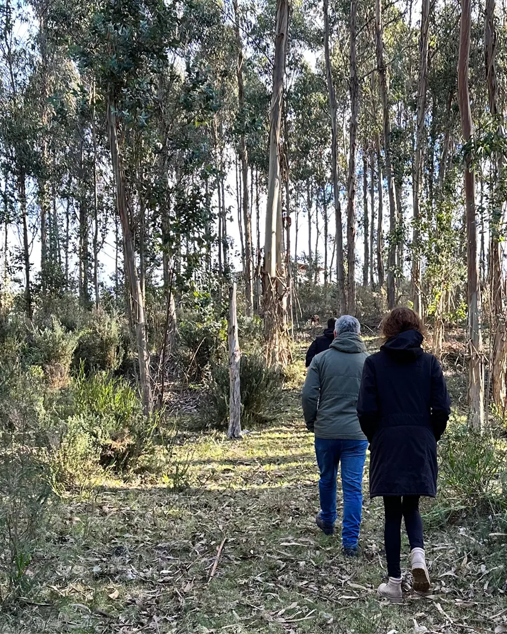 ¿Para quién es Within?